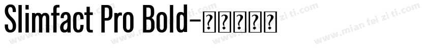 Slimfact Pro Bold字体转换